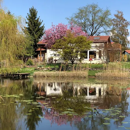 Apartment Mollenberg Hergensweiler